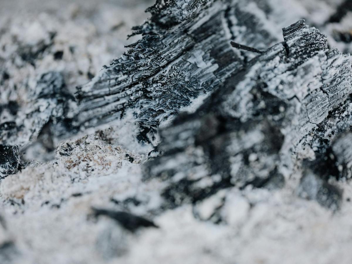 The Girl Who Turned Into&nbsp;Ash